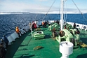 Skibet i isen_20130704_1147